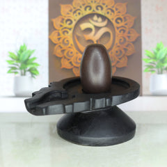 original narmadeshwar shivling 