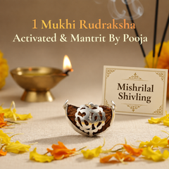 1 Mukhi Rudraksha 