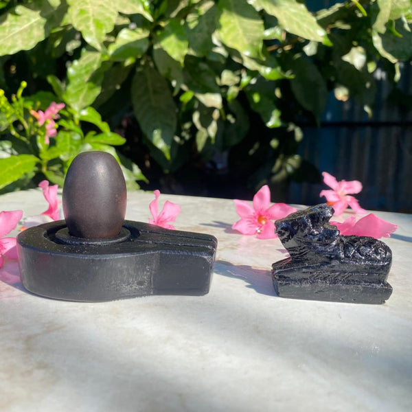 Narmadeshwar shivling for home 