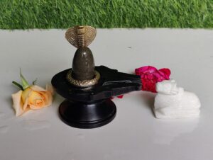 Shivling for Home